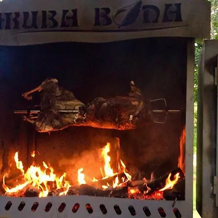Zhyva Voda