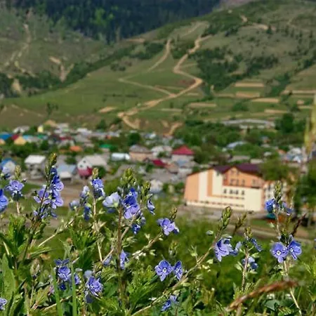 Zhyva Voda
