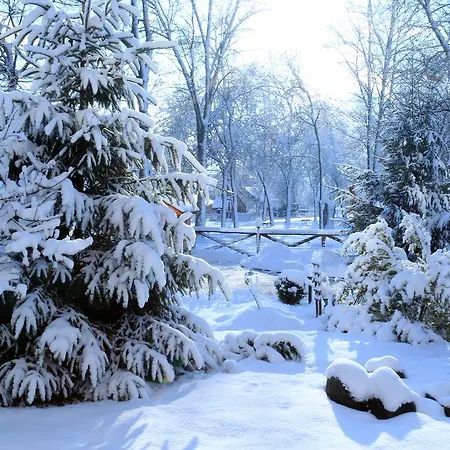 Resort Zhyva Voda Mizhhirya (Transcarpathia)