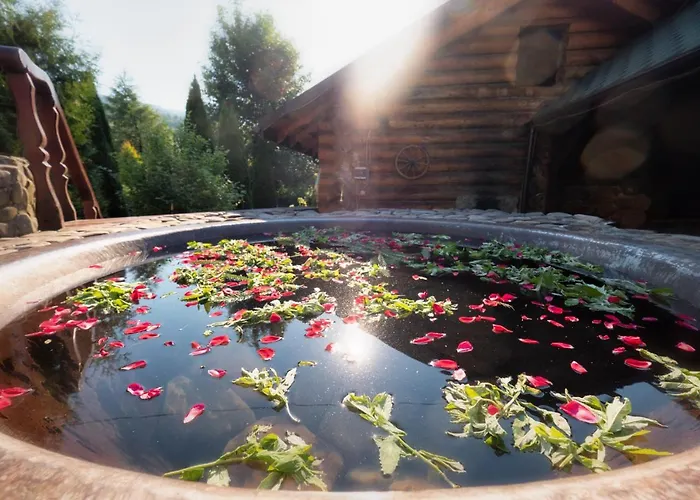 Zhyva Voda 度假村 4*