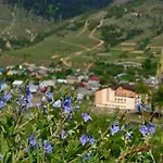 Zhyva Voda