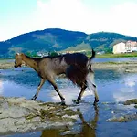 Zhyva Voda Mizhhirya (Transcarpathia)