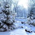 Resort Zhyva Voda Mizhhirya (Transcarpathia)